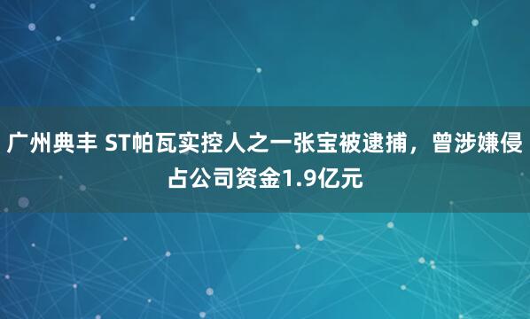 广州典丰 ST帕瓦实控人之一张宝被逮捕，曾涉嫌侵占公司资金1.9亿元