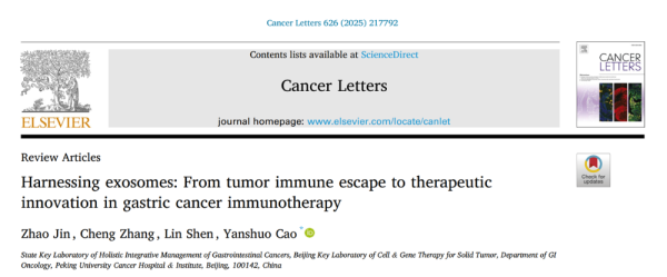 牛8速配 外泌体——从胃癌免疫逃逸到治疗创新的桥梁