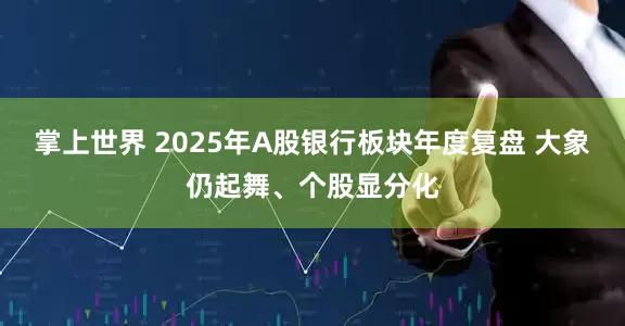 掌上世界 2025年A股银行板块年度复盘 大象仍起舞、个股显分化